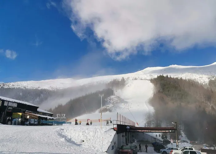 Villa Srub Tale Bystra